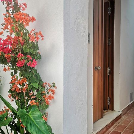 דירות טריפה Erizo 3 Loft Diafano En El Centro Historico מראה חיצוני תמונה